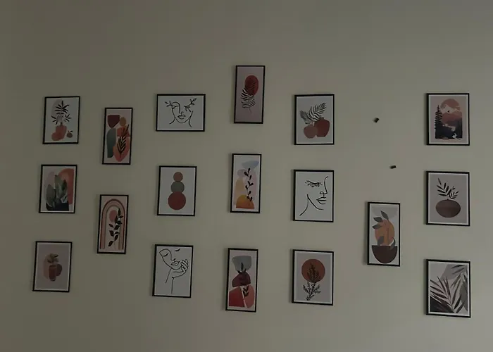 فيلة Star House *