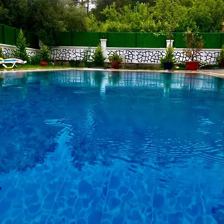 Vila Star House